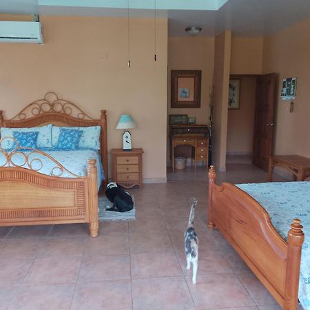 Gone Fishing Panama Resort Бока-Чіка Екстер'єр фото